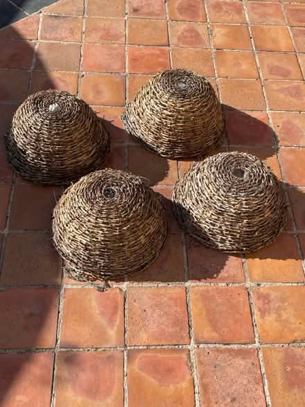 Photo of free Hanging Baskets (Quarndon DE22) #4