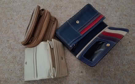 Photo of free Purses (South Acton) #2