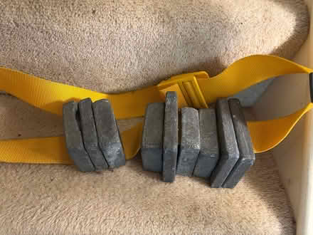 Photo of free Diving belt and weights (Weybridge KT13) #1