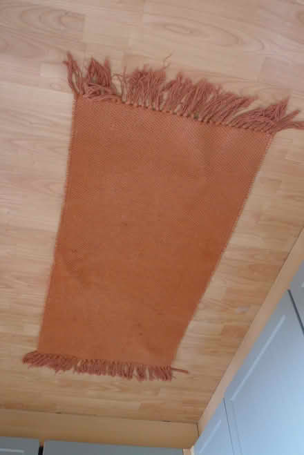 Photo of free Terracotta rug (Oxford OX4) #1
