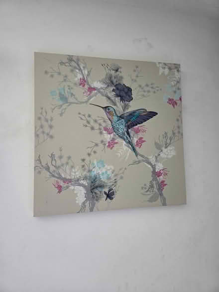 Photo of free Bird canvas (Derby city centre) #1