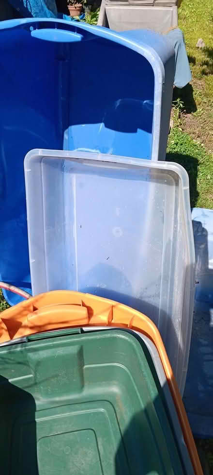 Photo of free storage totes (melrose) #2