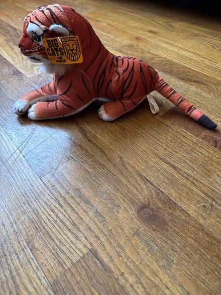 Photo of free Bengal Tiger Stuffie (Clason Point Bronx NY) #2