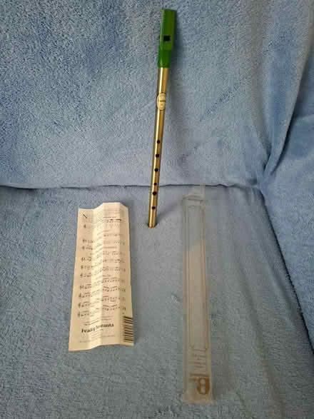 Photo of free Irish Whistle (Welling DA16) #1