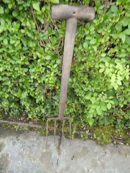 Photo of free garden digging fork (Whitestake PR4) #1