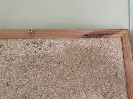 Photo of free Cork Noticeboard (Southsea PO5) #2