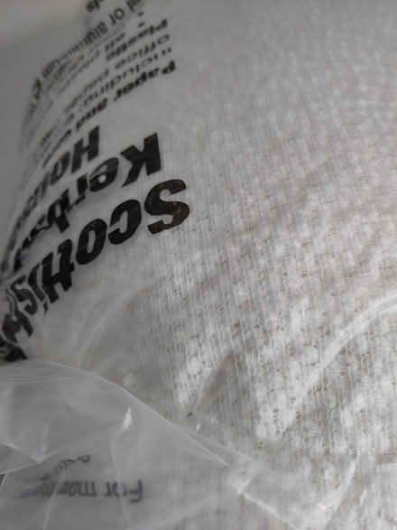 Photo of free Polystyrene beads (Outwood RH1) #2