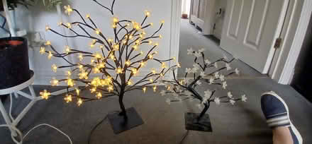 Photo of free Light up trees x2 (Heelands MK13) #1