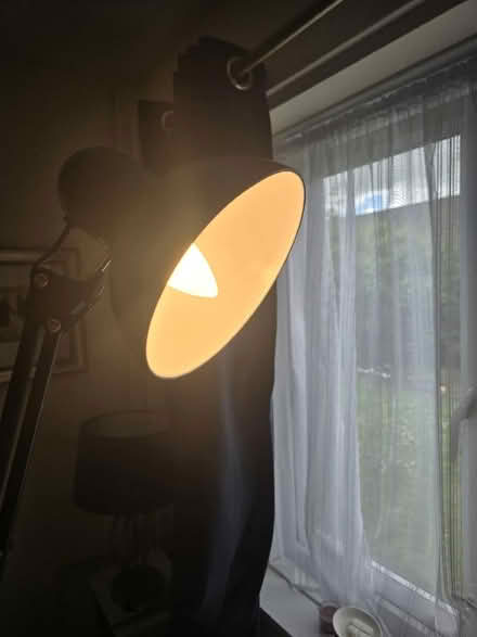 Photo of free Tall black lamp (Foxwood YO24) #3