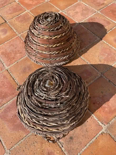 Photo of free Hanging Baskets (Quarndon DE22) #3