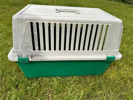 Photo of free large sturdy cat travel basket (Shepton Mallet BA4) #4