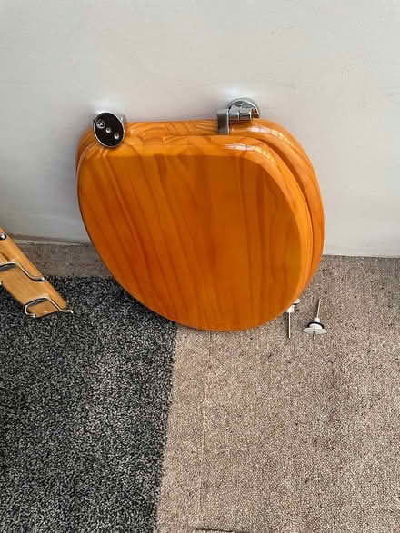Photo of free New toilet seat (Redbridge IG1) #1