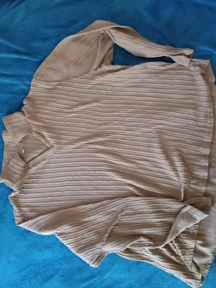 Photo of free Brown Top (Bed-stuy) #1