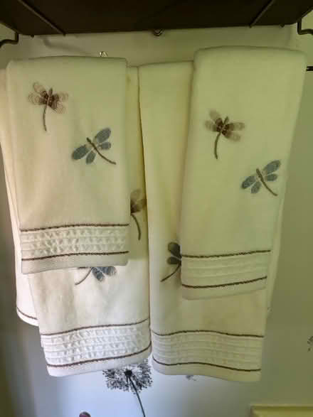 Photo of free Dragonfly shower curtain + (Croton-on-Hudson) #3