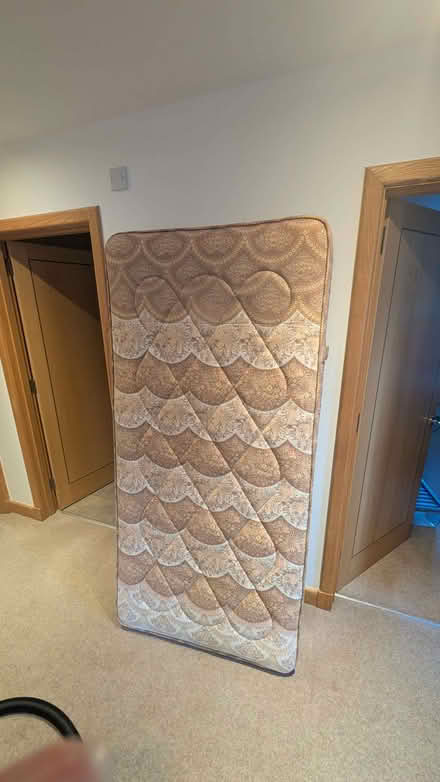 Photo of free Single bed (Holy Corner EH10) #3