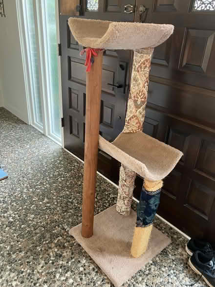 Photo of free Cat trees (Everett, WA near Silver Lake) #1