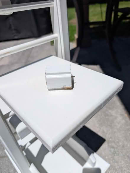 Photo of free Plant stand (Merivale Garden) #3