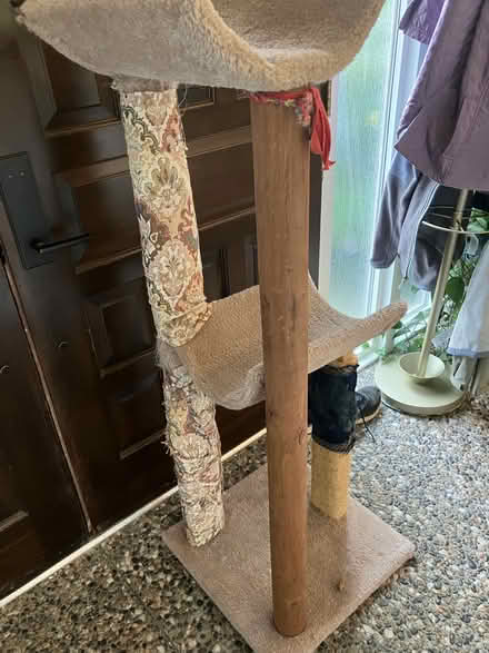 Photo of free Cat trees (Everett, WA near Silver Lake) #2