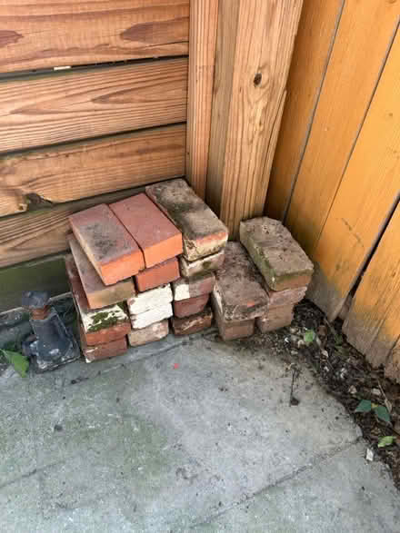 Photo of free Bricks (near Lincoln park) #1