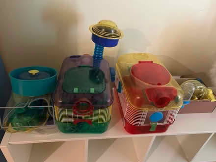Photo of free Hamster cages and accessories (Germantown) #1