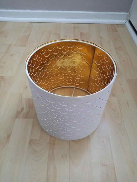 Photo of free Lamp / light shade (BA11) #3