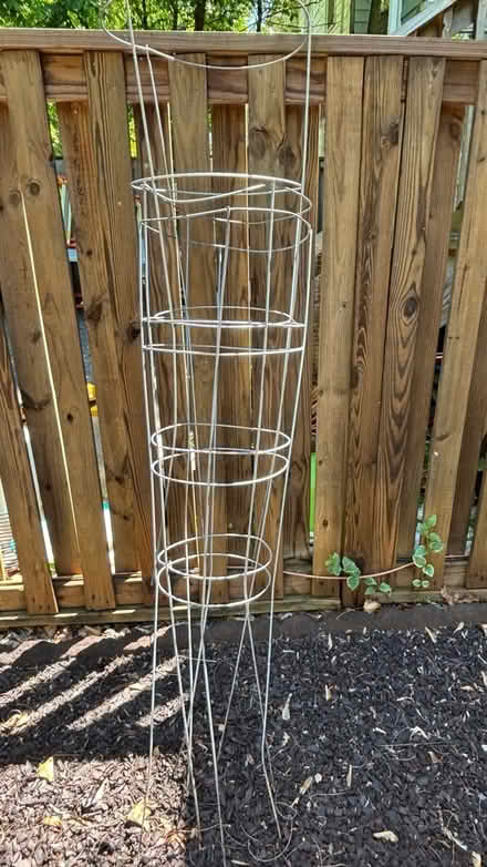 Photo of free Tomato cages (Columbia) #1