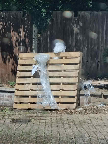 Photo of free Wooden pallet large (SE20) #1