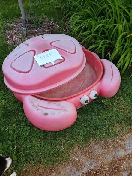 Photo of free Crabby Sandbox on Side of Street (Long Branch) #1