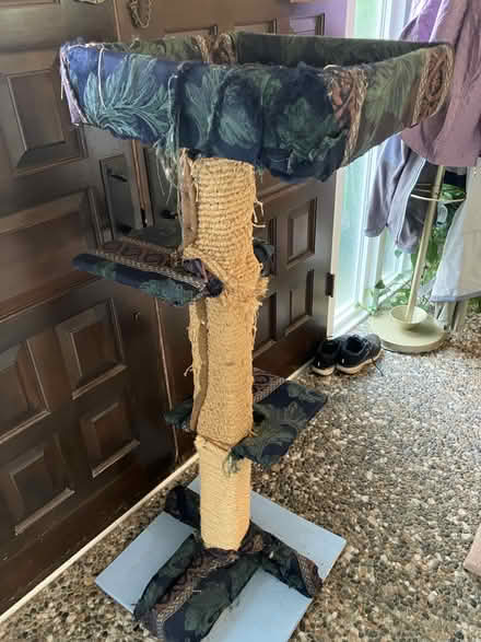 Photo of free Cat trees (Everett, WA near Silver Lake) #4
