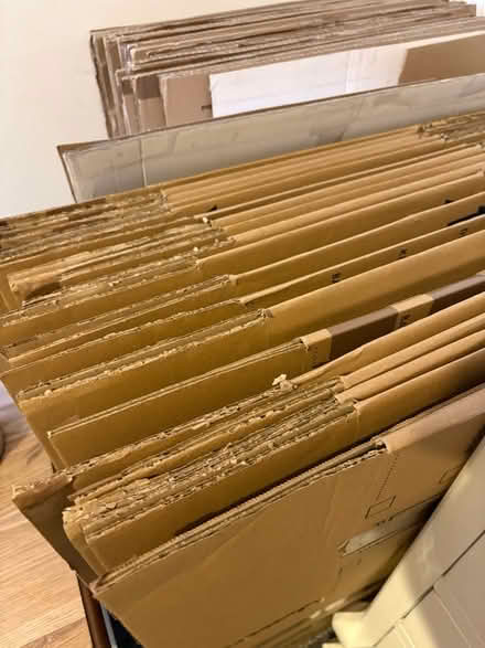 Photo of free 30-ish moving boxes. (Seal TN15) #1