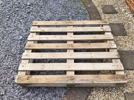 Photo of free Wooden pallet (Gedling NG4) #2