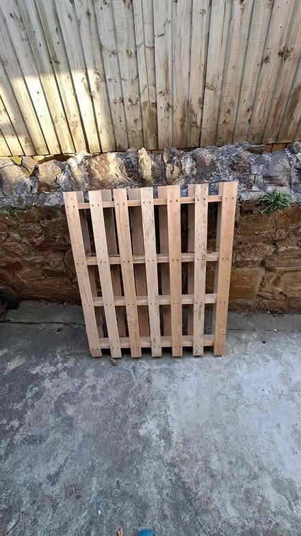 Photo of free Pallet (Woodford GL13) #1
