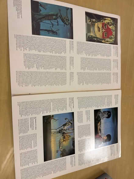 Photo of free A3 laminated Dali prints (Baffins PO3) #2