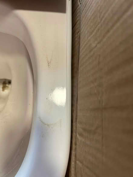Photo of free New Toilet (Freeland OX29) #3