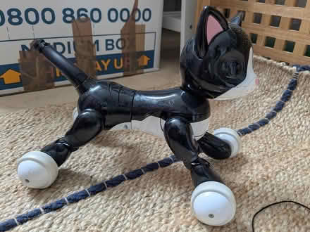 Photo of free Zoomer kitty robot toy (By Ealing hospital UB2) #2