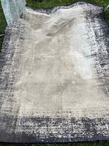 Photo of free Rug (Ipswich IP2) #1
