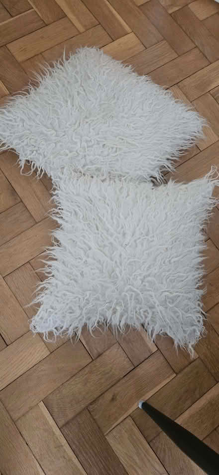 Photo of free Two fluffy cushions (St Stephens AL3) #1