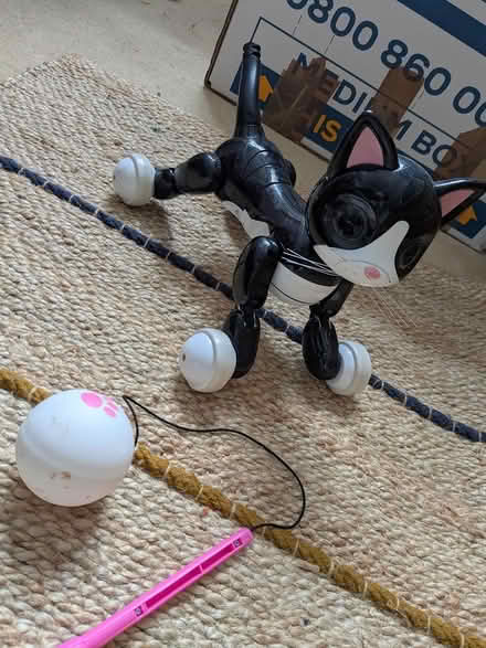 Photo of free Zoomer kitty robot toy (By Ealing hospital UB2) #1