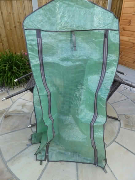 Photo of free 4 tier mini greenhouse (Walton-on-the-Naze CO14) #3