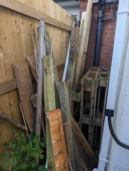 Photo of free Wood bits (Alphington) #1