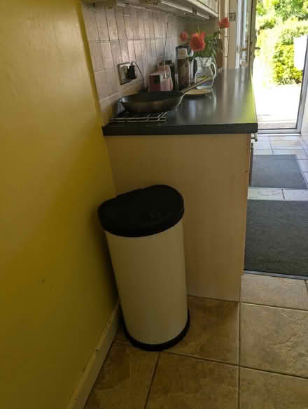 Photo of free Large kitchen rubbish bin (Norbury sw16) #1