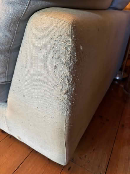Photo of free Corner sofa (Queen's Park BN2) #4