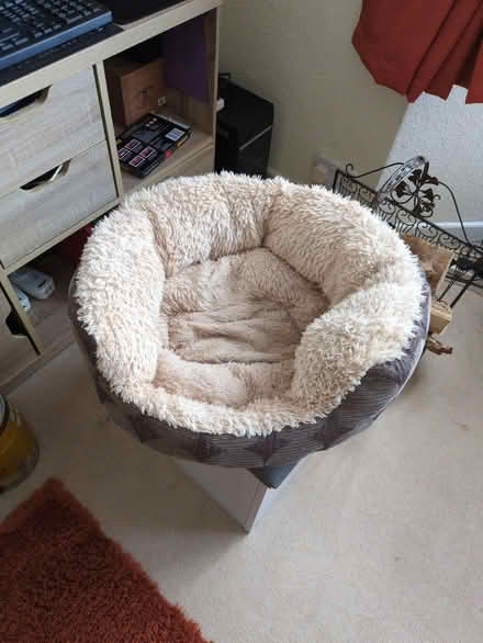 Photo of free Dog Or Cat Bed (Ramsgate CT11) #1