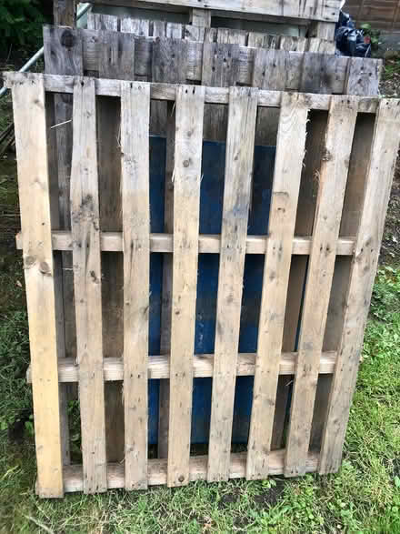 Photo of free Pallets (Farnborough GU14 0ED) #2