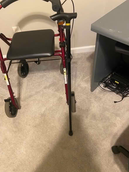 Photo of free Walker & walking cane (Holly springs/canton) #2