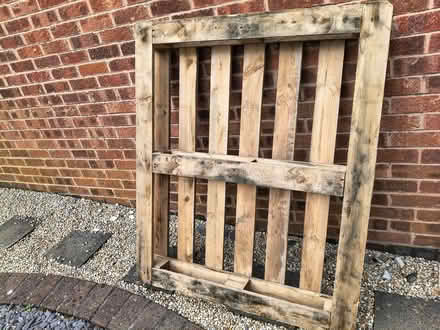 Photo of free Wooden pallet (Gedling NG4) #1