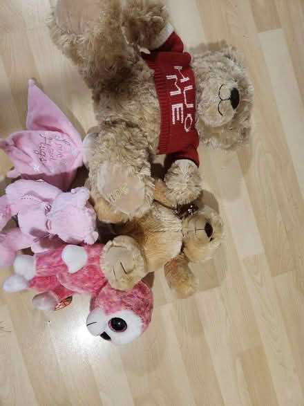 Photo of free Soft toys (Castlefield HP12) #1