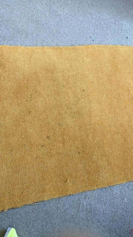 Photo of free Mustard Carpet offcut (BS7) #2