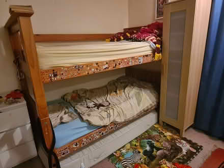 Photo of free Solid Wood bunk or single beds (Great chesterford CB10) #1