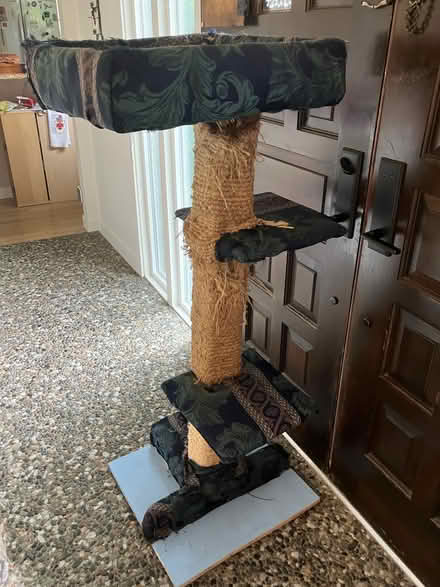 Photo of free Cat trees (Everett, WA near Silver Lake) #3